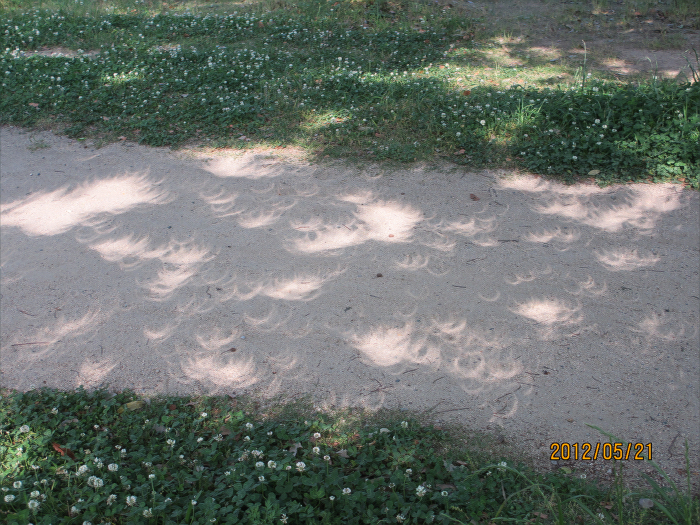 2012年5月21日「金環日食の木漏れ日」城山　義見（繊維）